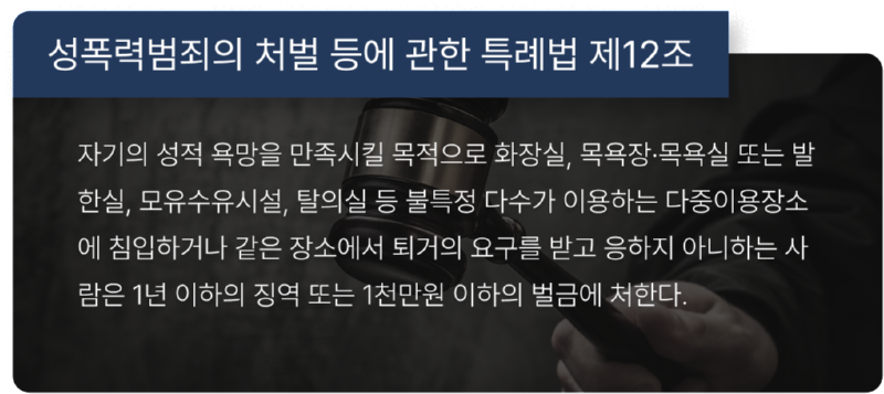 성적목적다중이용장소침입.png